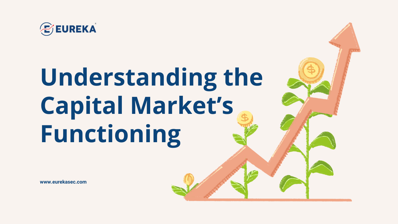 Understanding the Capital Market’s Functioning